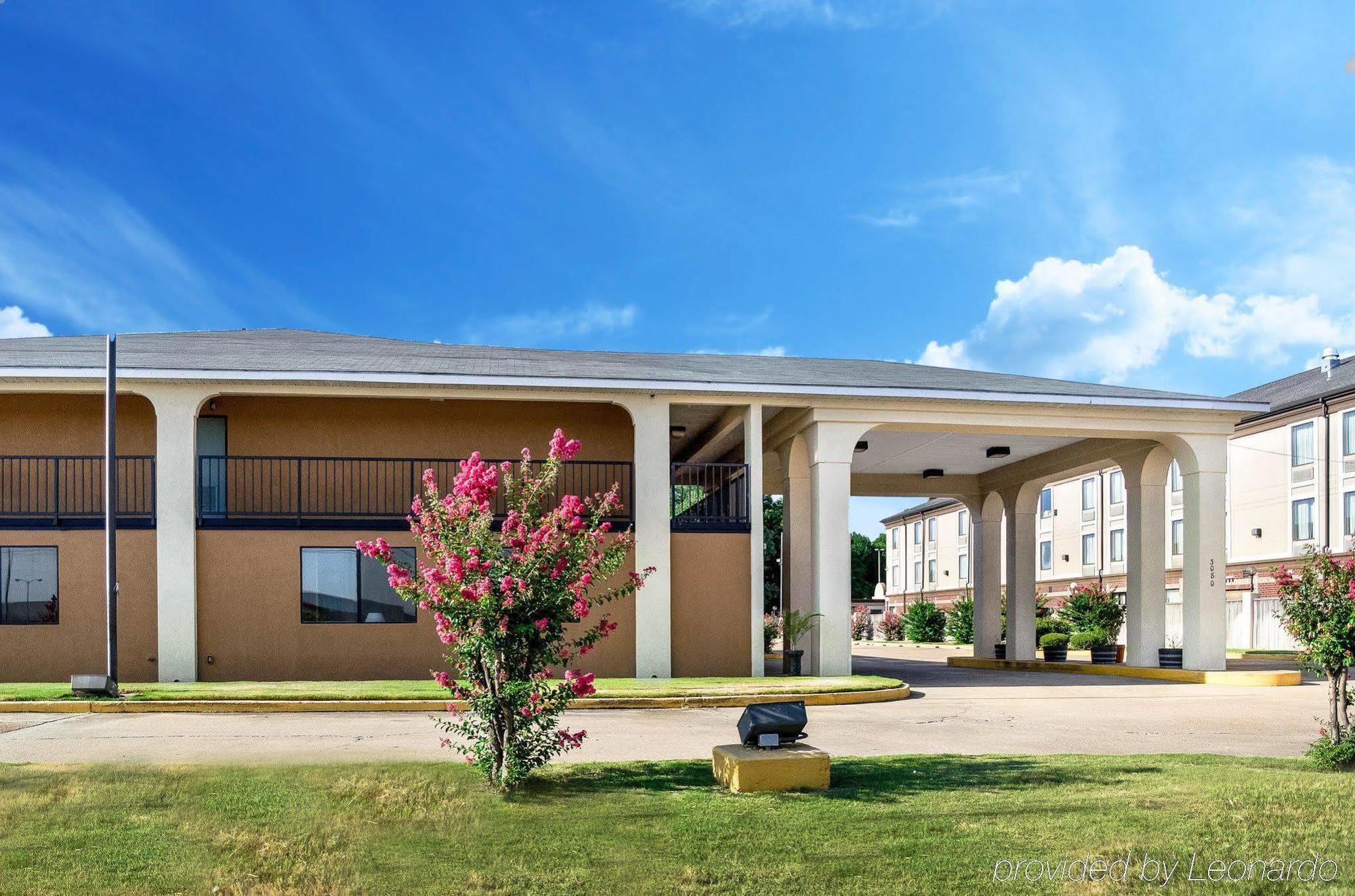 Econo Lodge By Choice גרינוויל מראה חיצוני תמונה
